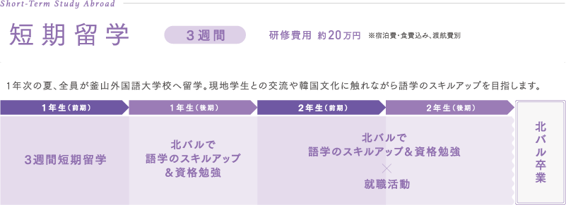 語学力を生かして 日本で就職したい!